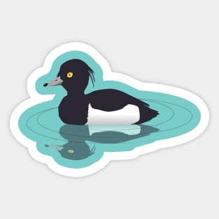 Tufted duck Sticker